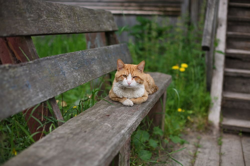 Photograph by Виктор Прокопьев