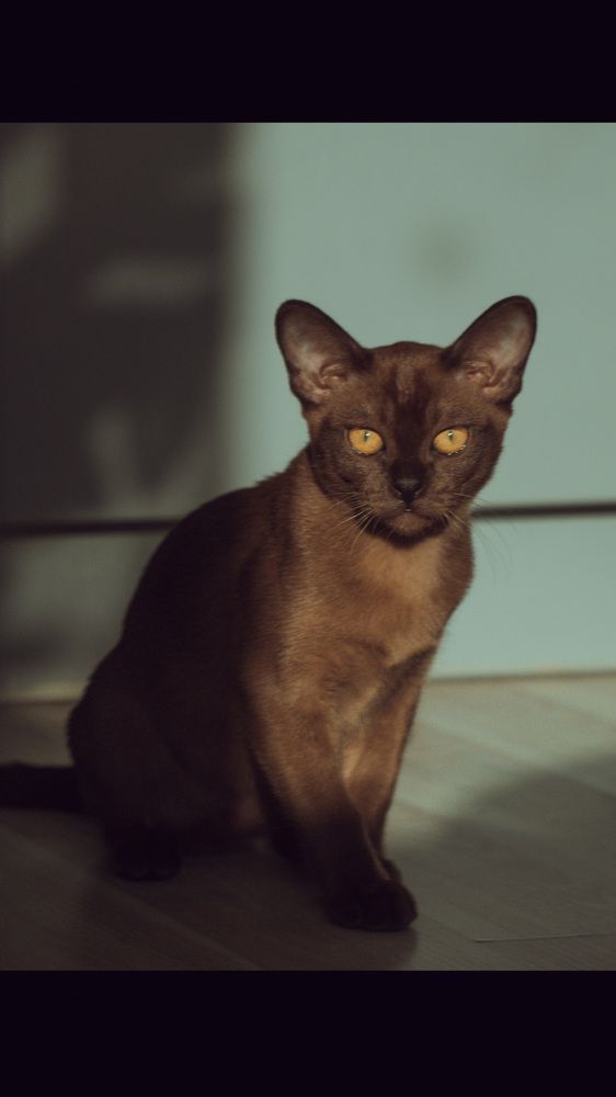 Photograph by Антон Яркин