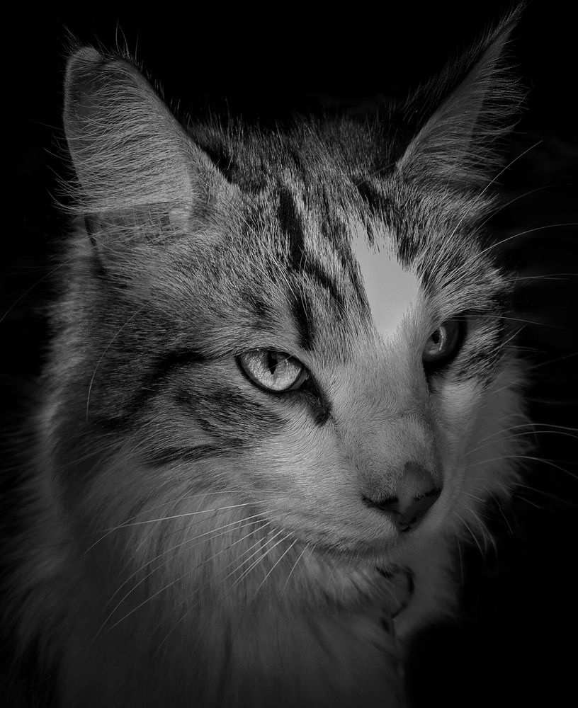 Photograph by Roberto Hagemann