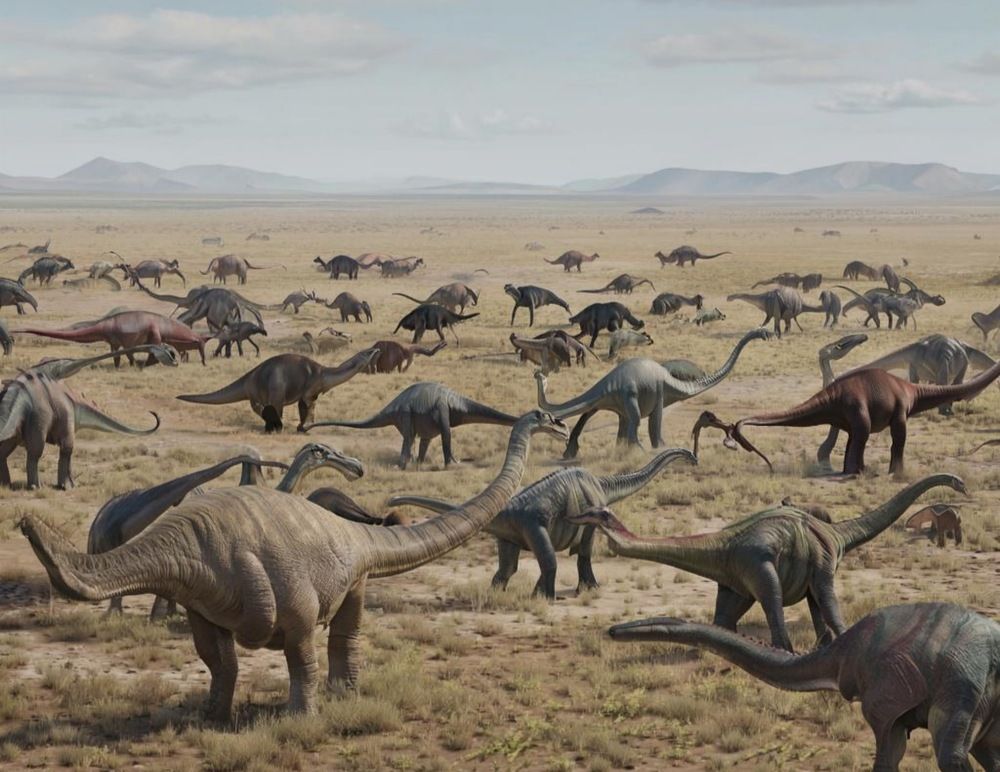 Photograph by Ирина Багдасарова