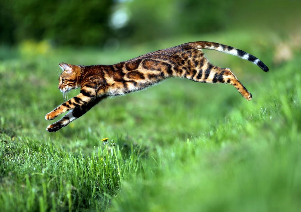 Photograph by Андрей Автухов