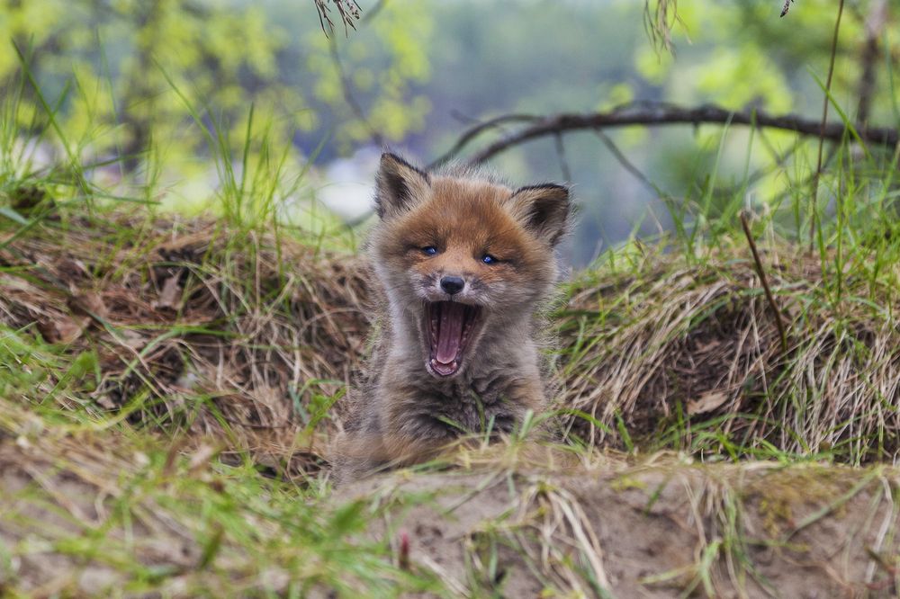 Photograph by Татьяна Каскевич