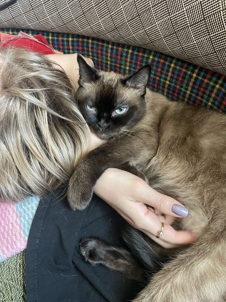 Фотография автора Арина Мясникова