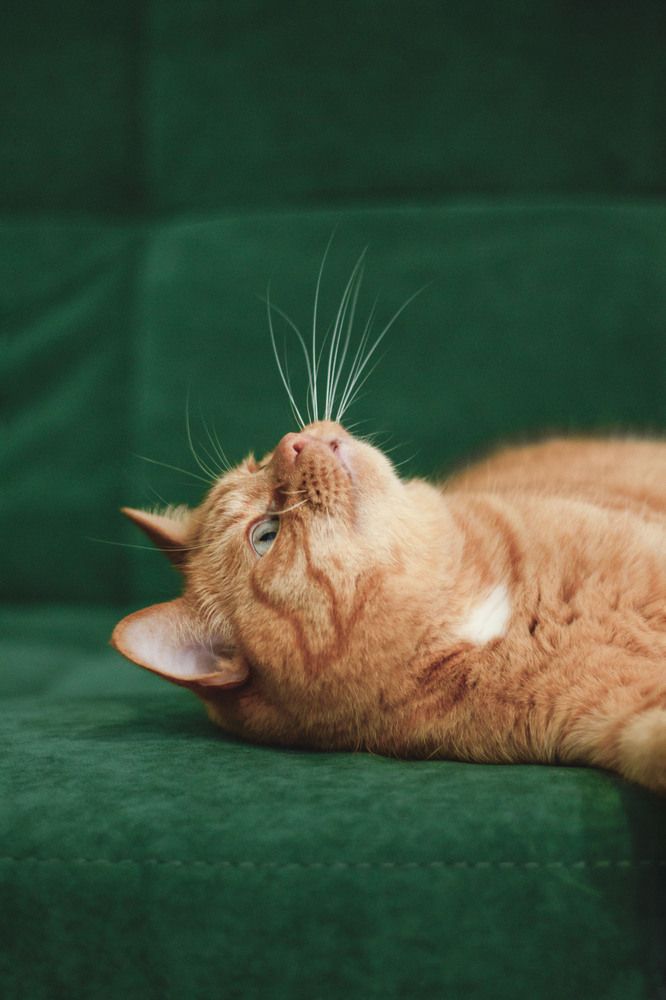 Photograph by Гаёва Ольга