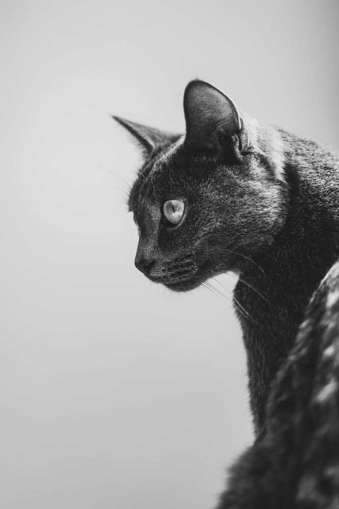 Photograph by Гаёва Ольга