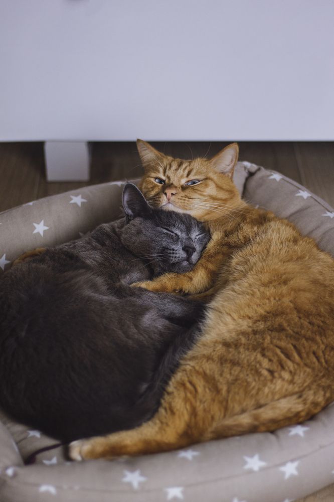 Photograph by Гаёва Ольга