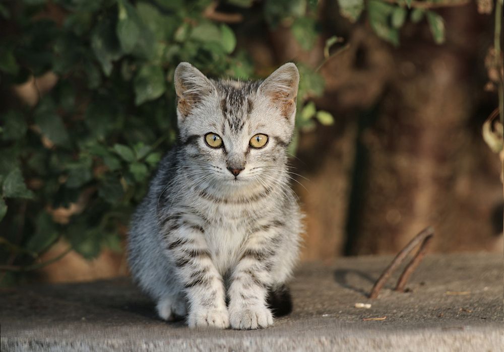 Photograph by Шруб (Беляева) Татьяна