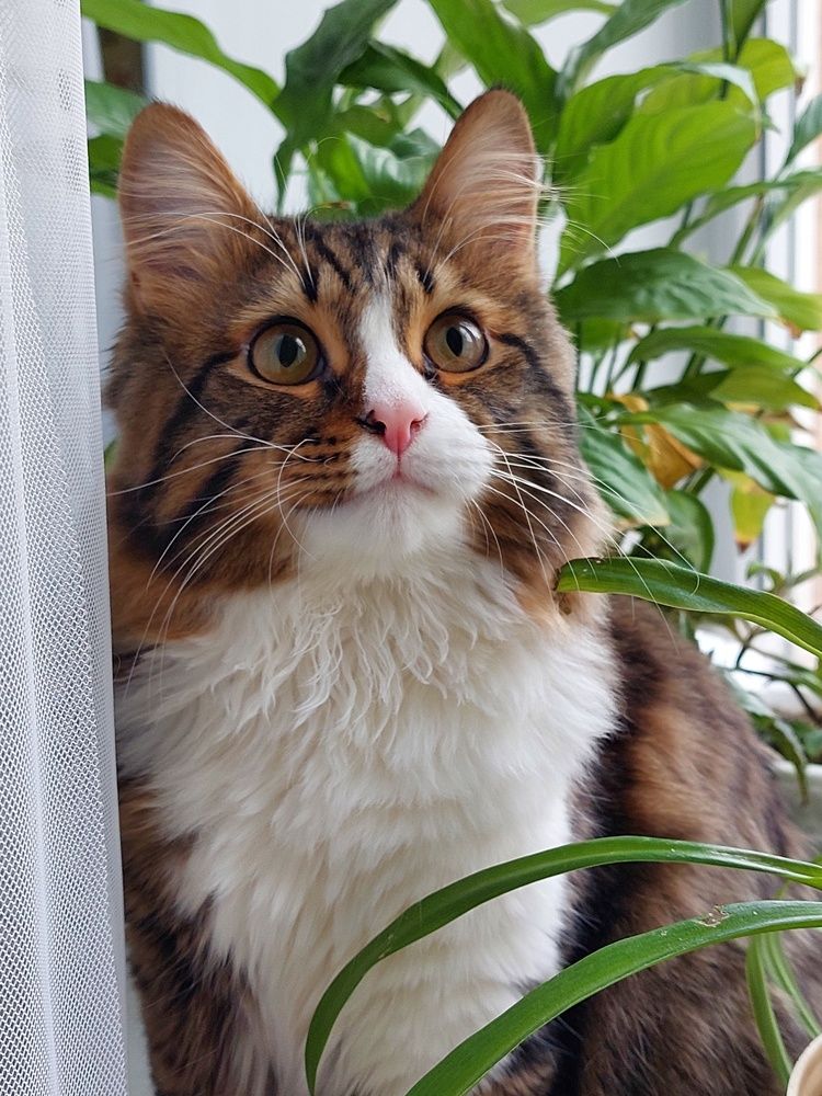 Photograph by Нина Паршина