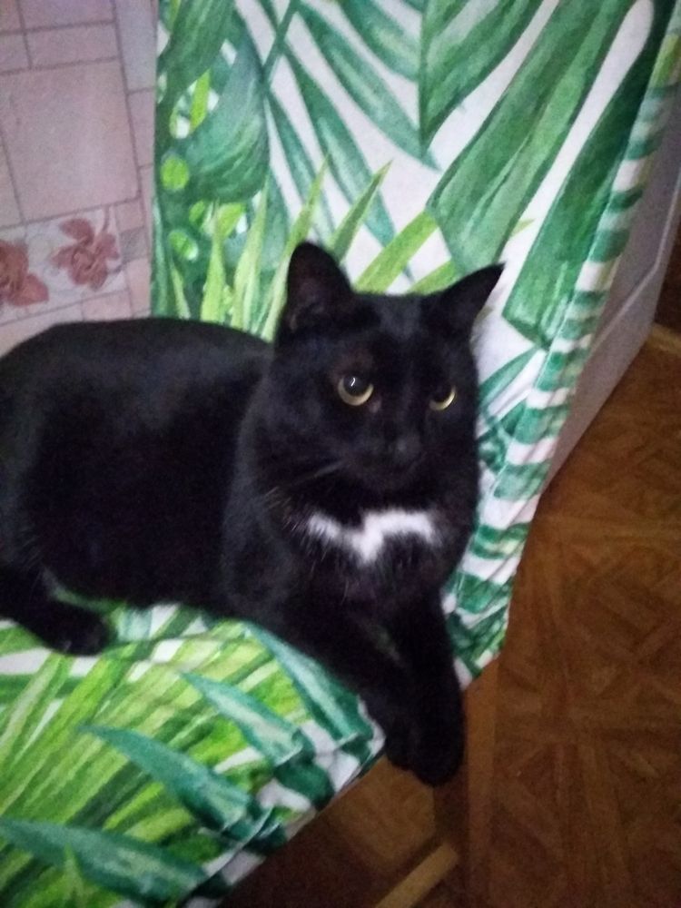 Photograph by Елена Казаренко