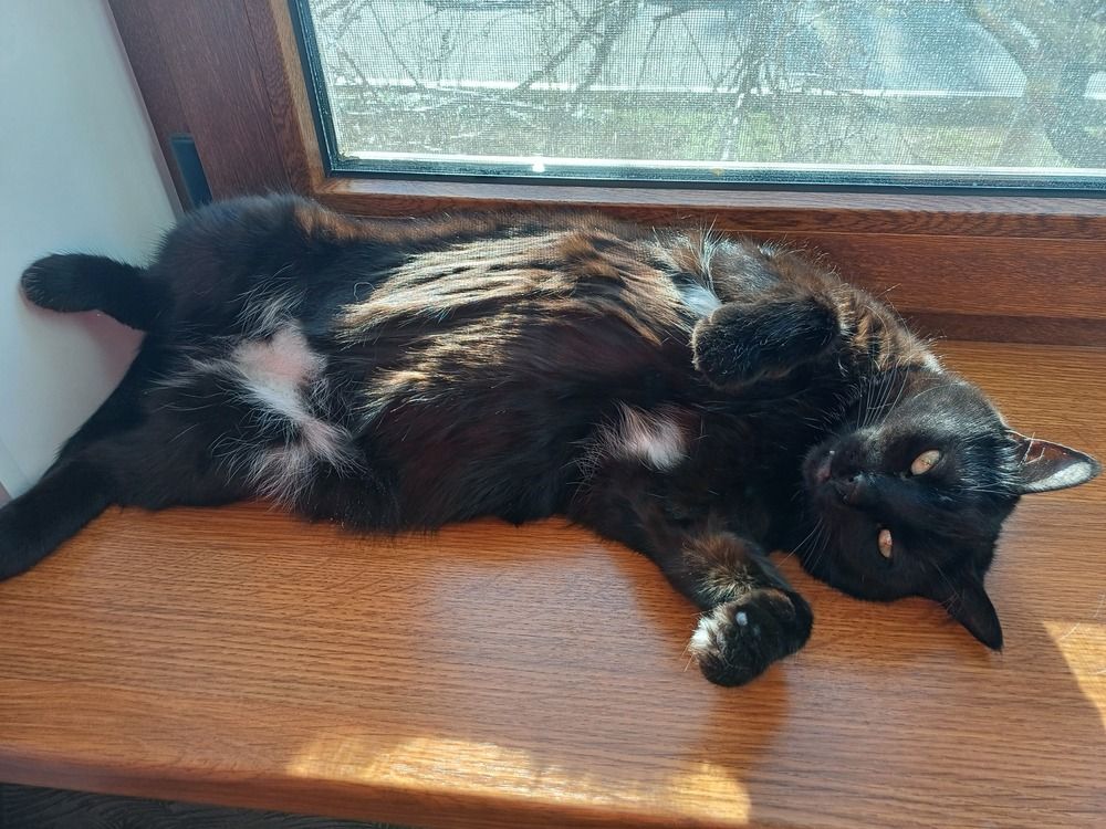 Photograph by Елена Казаренко