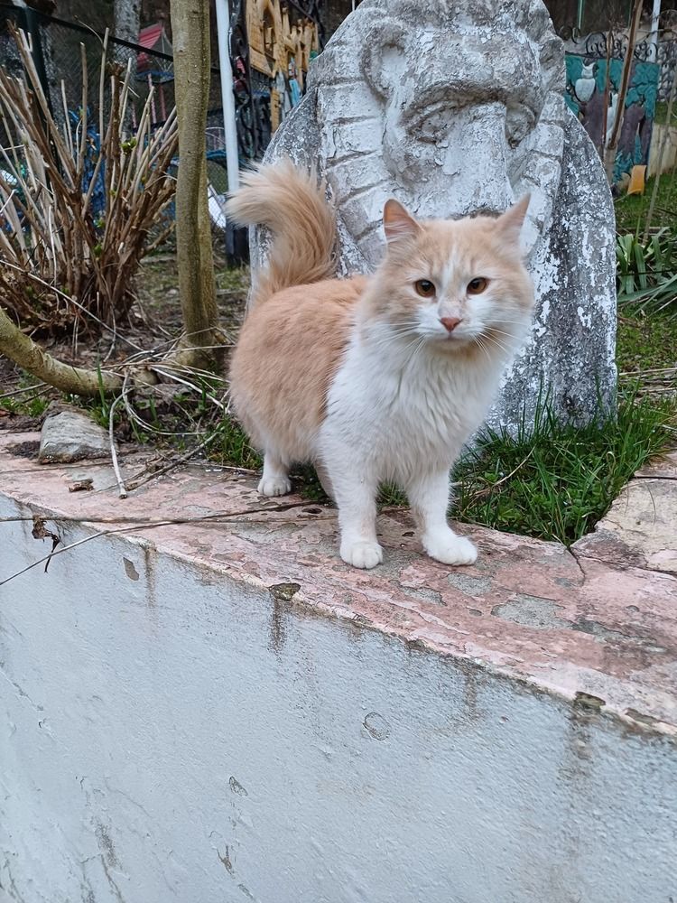 Photograph by Елена Казаренко