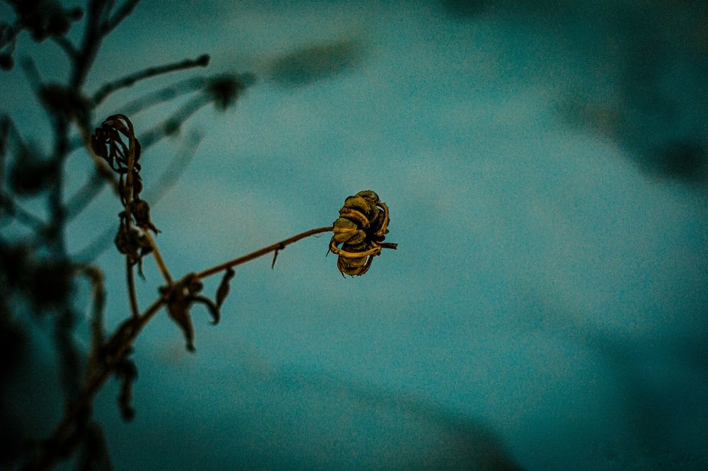 Photograph by Анастасия Василаки