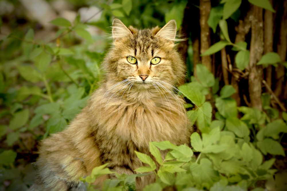 Photograph by Шруб (Беляева) Татьяна