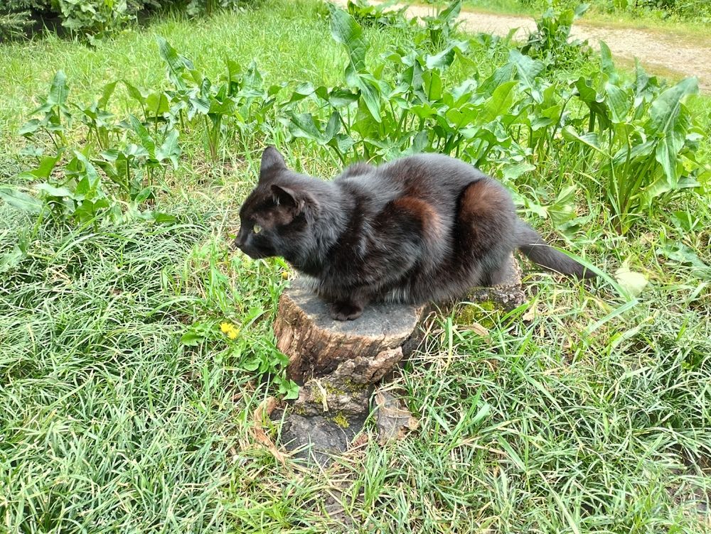 Photograph by Елена Казаренко