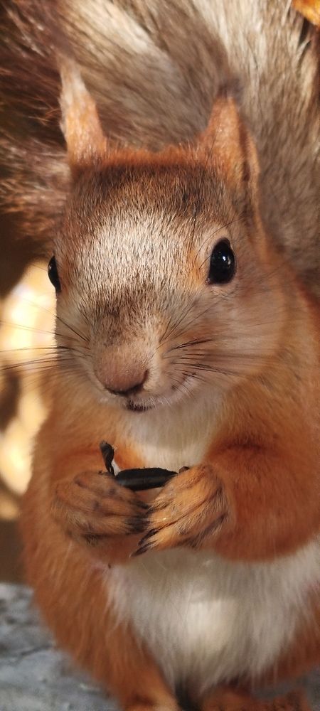 Photograph by Olga Александрова