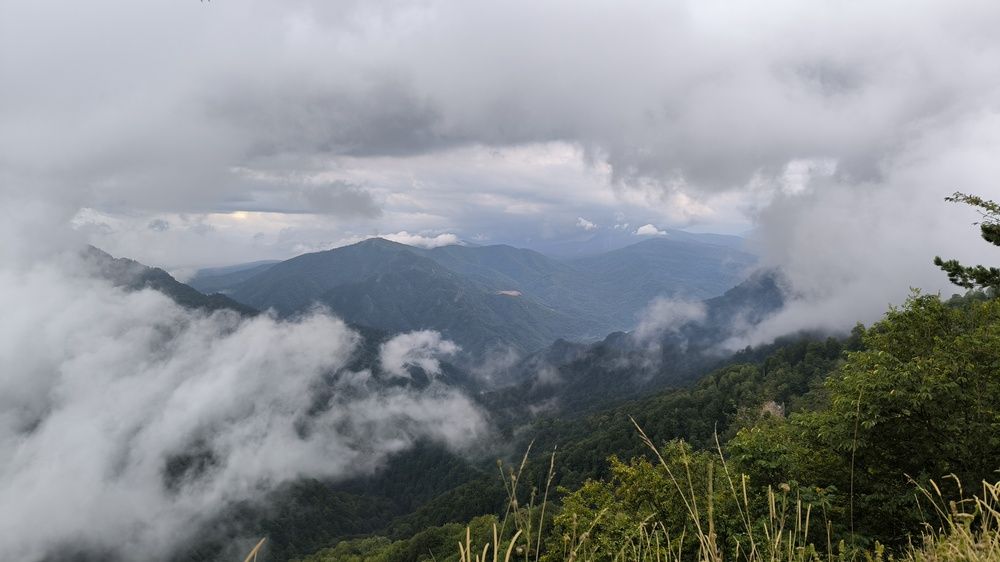 Photograph by Ольга Стоун