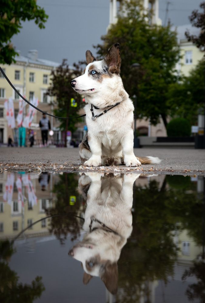 Photograph by Дмитрий Тимин