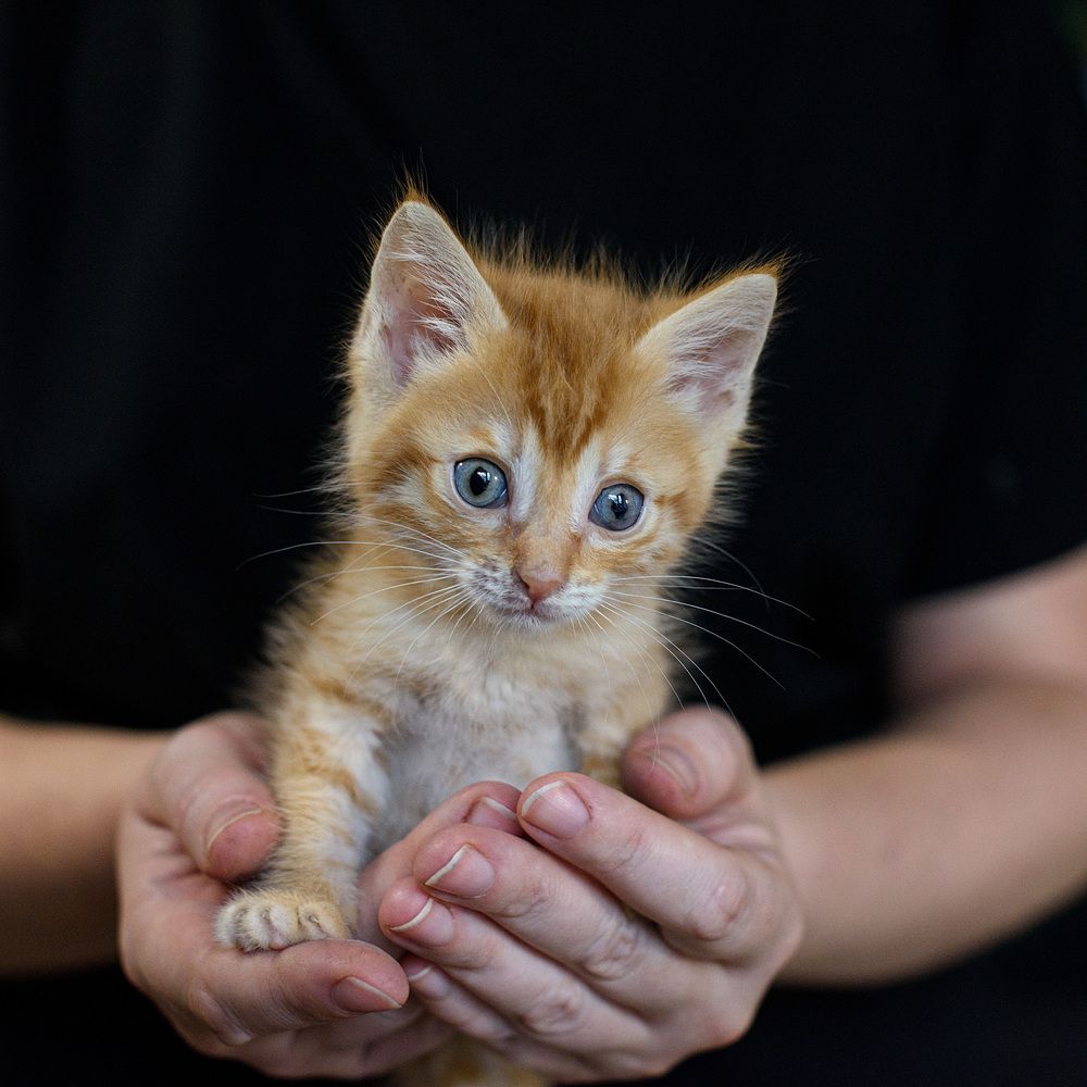 Photograph by Светлана Кудеринова