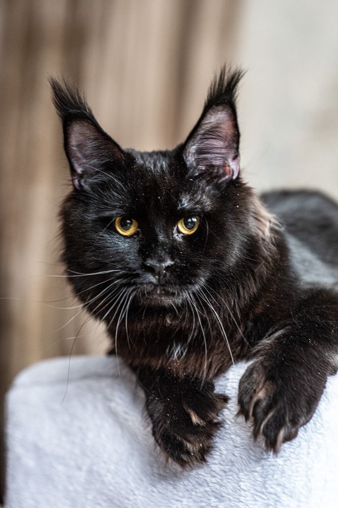 Photograph by Светлана Кудеринова