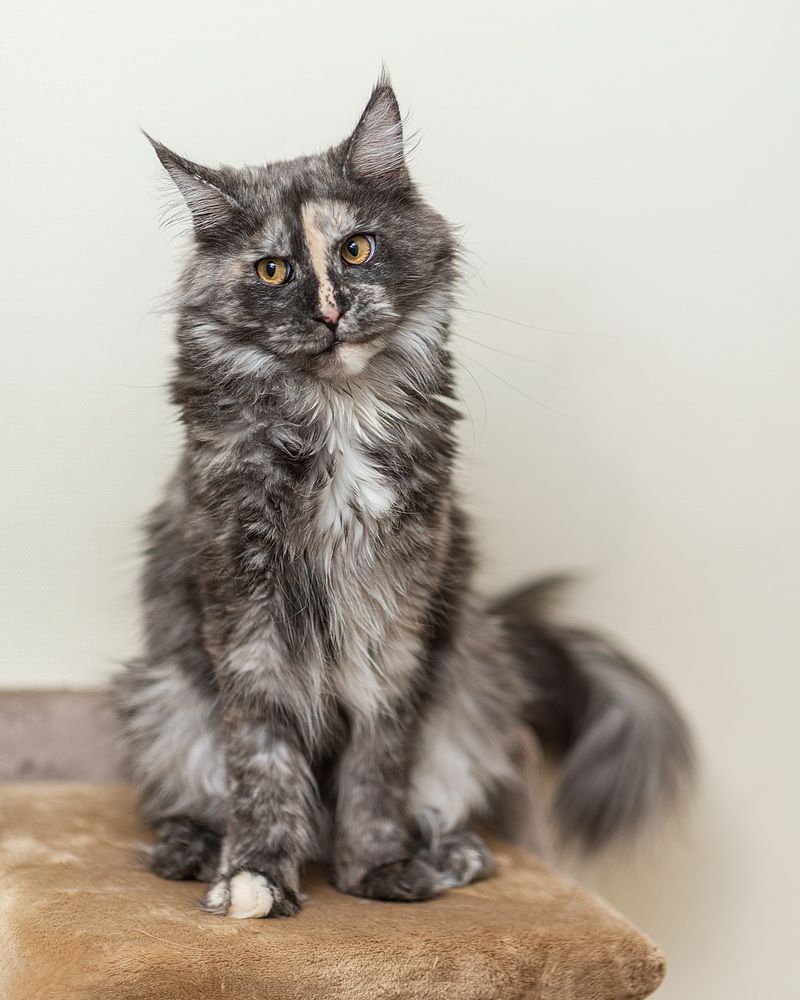 Photograph by Светлана Кудеринова