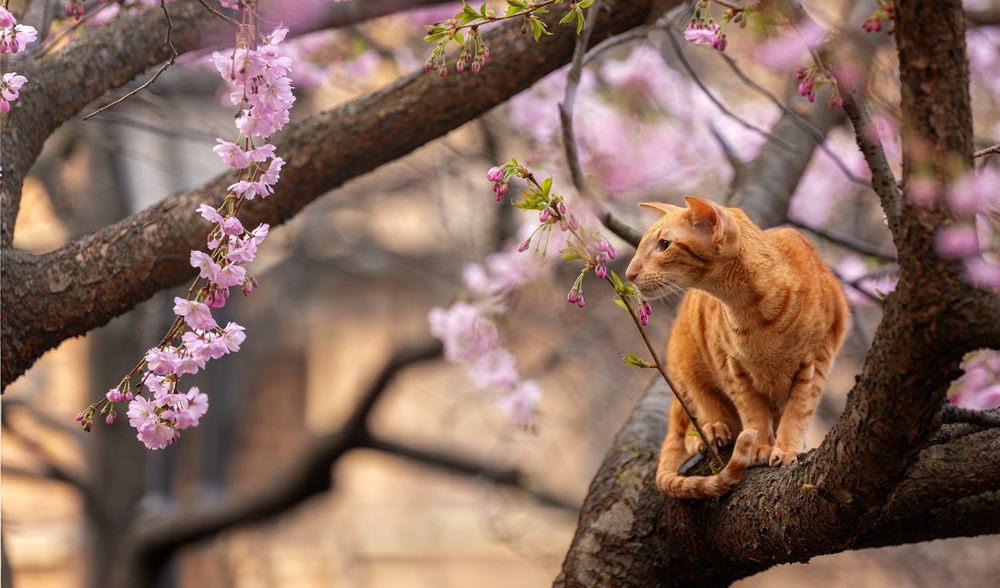 Photograph by Зубкова Юлия