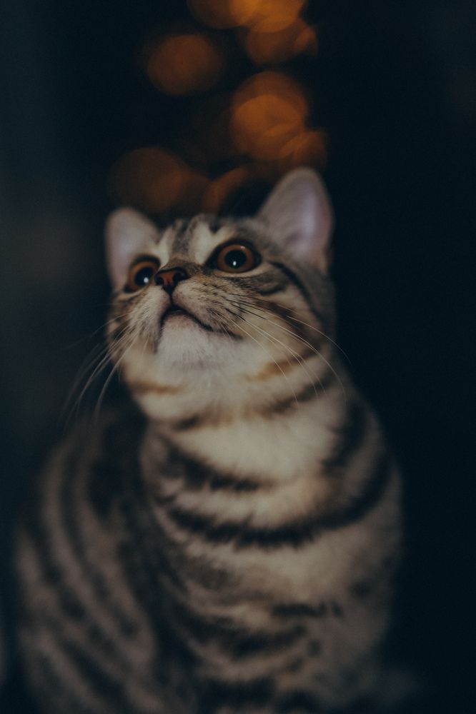 Photograph by Анна Балова