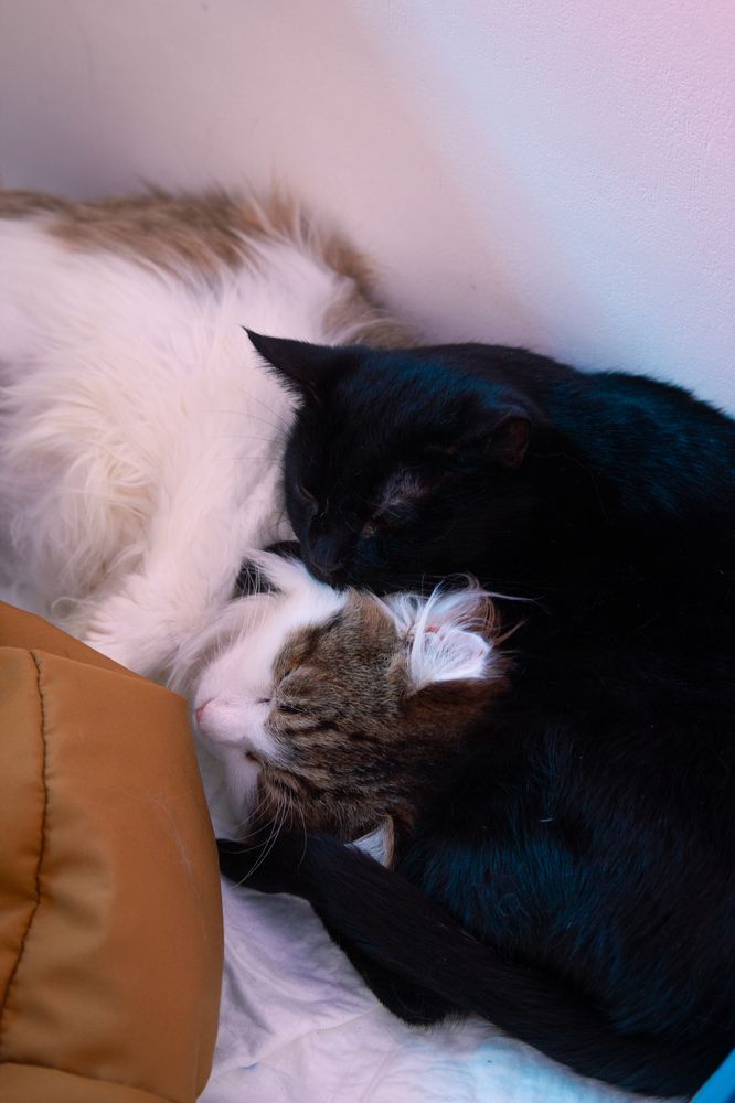 Photograph by Сергей Бойко