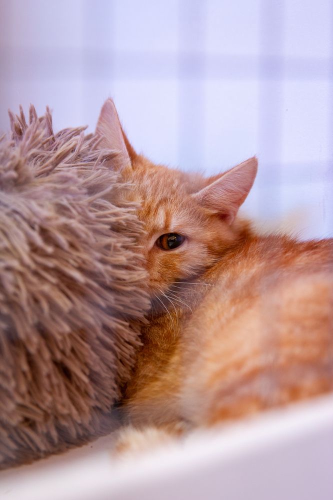 Photograph by Сергей Бойко