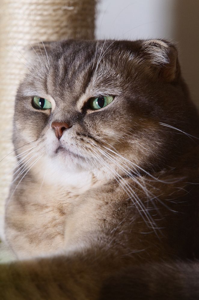 Фотография автора Андрей Неденко