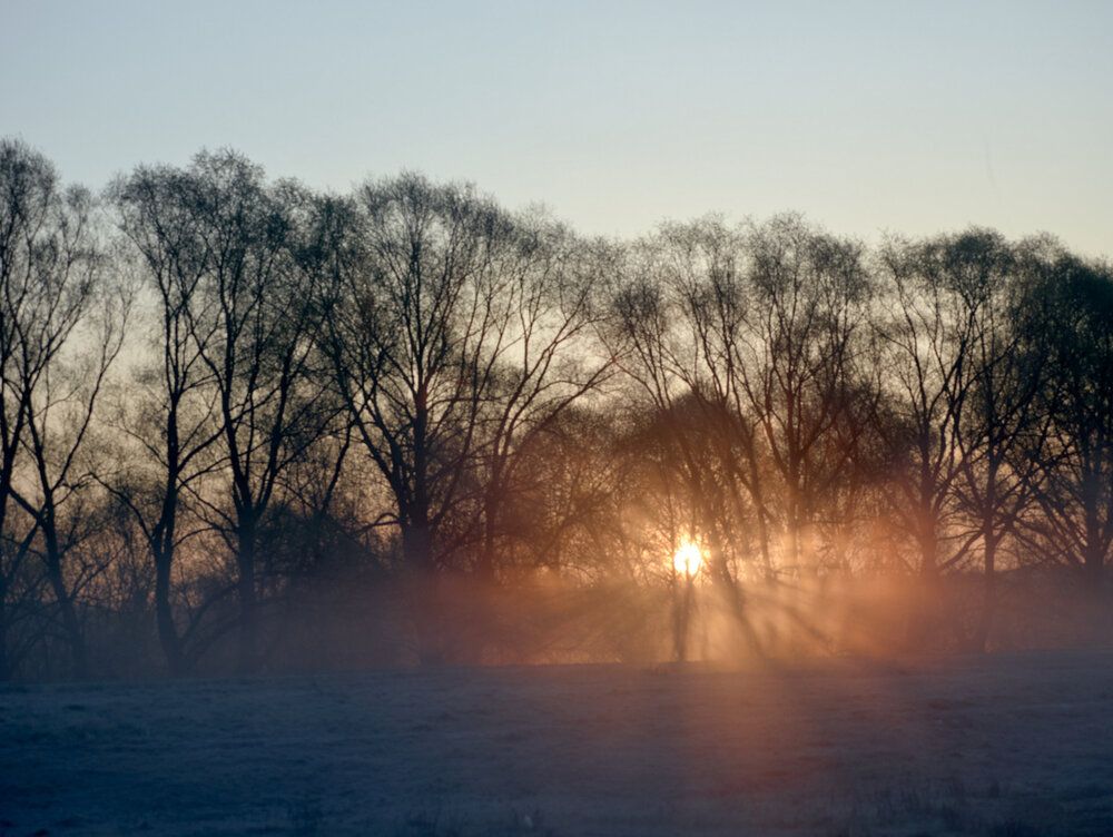 Фотография автора Дьяченко Игорь