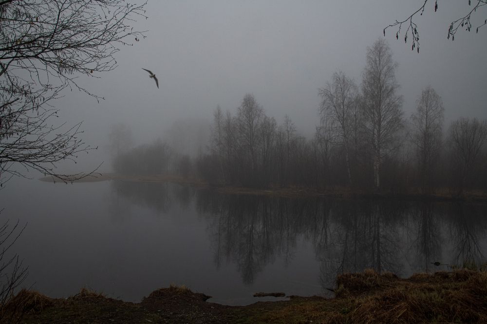 Photograph by Юрий Платухин