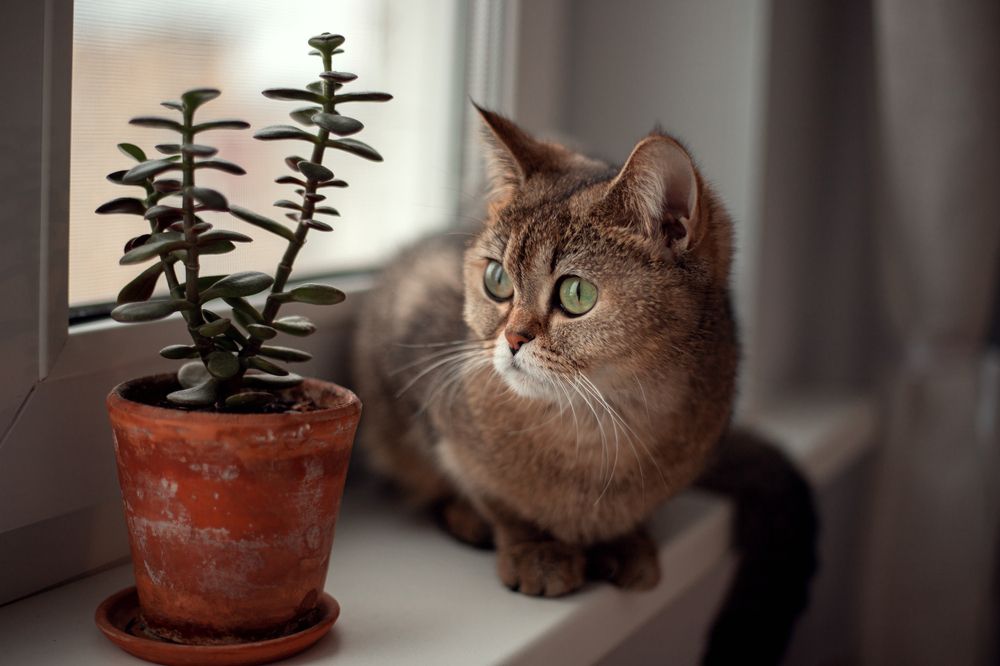 Photograph by Алла Аюпова