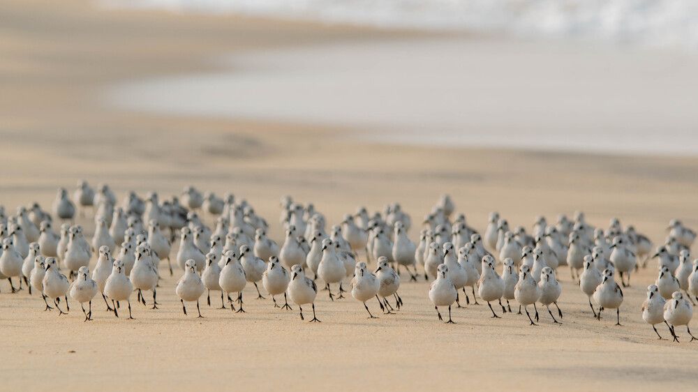 Photograph by Faisal Fasaludeen