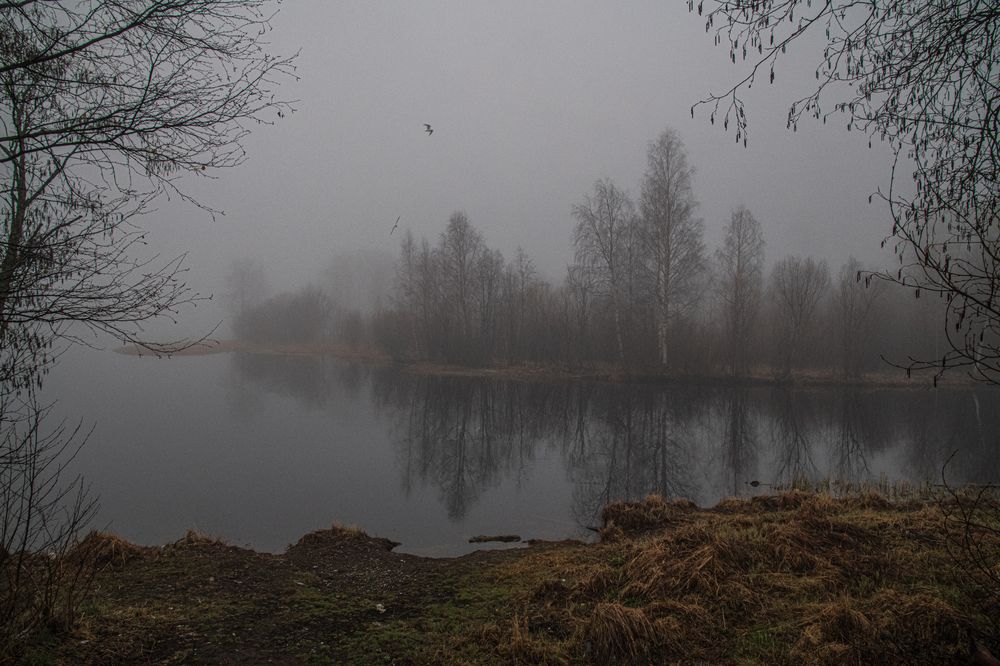 Photograph by Юрий Платухин