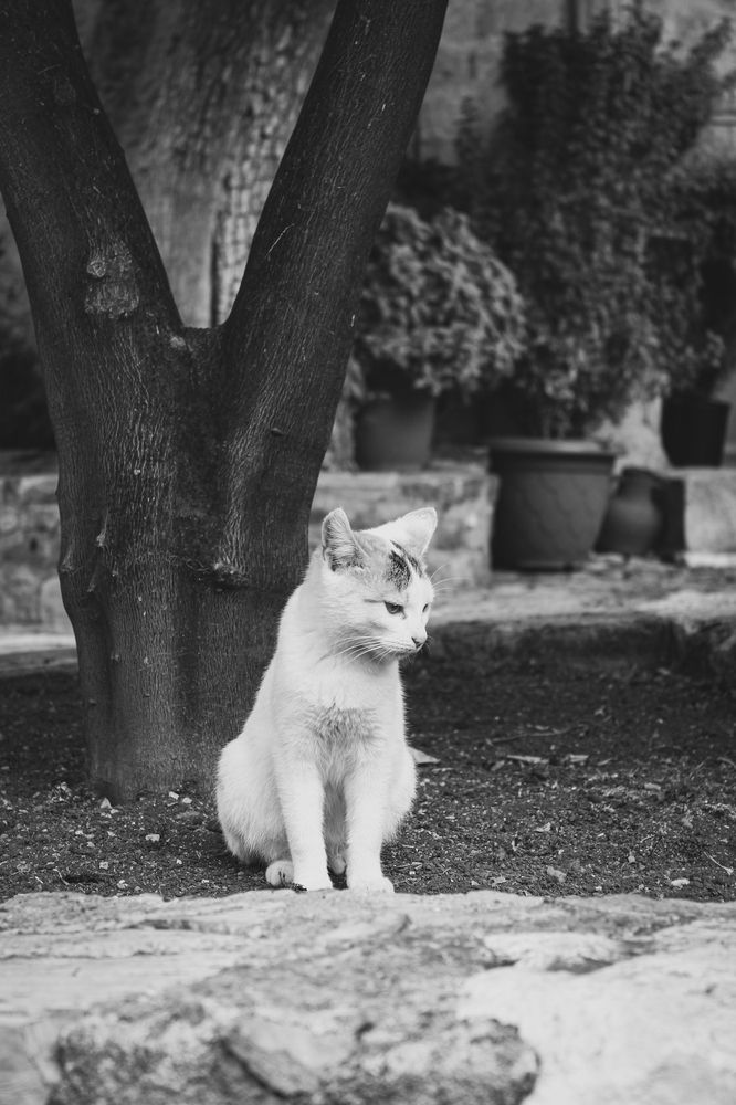 Photograph by Андрей Безгин