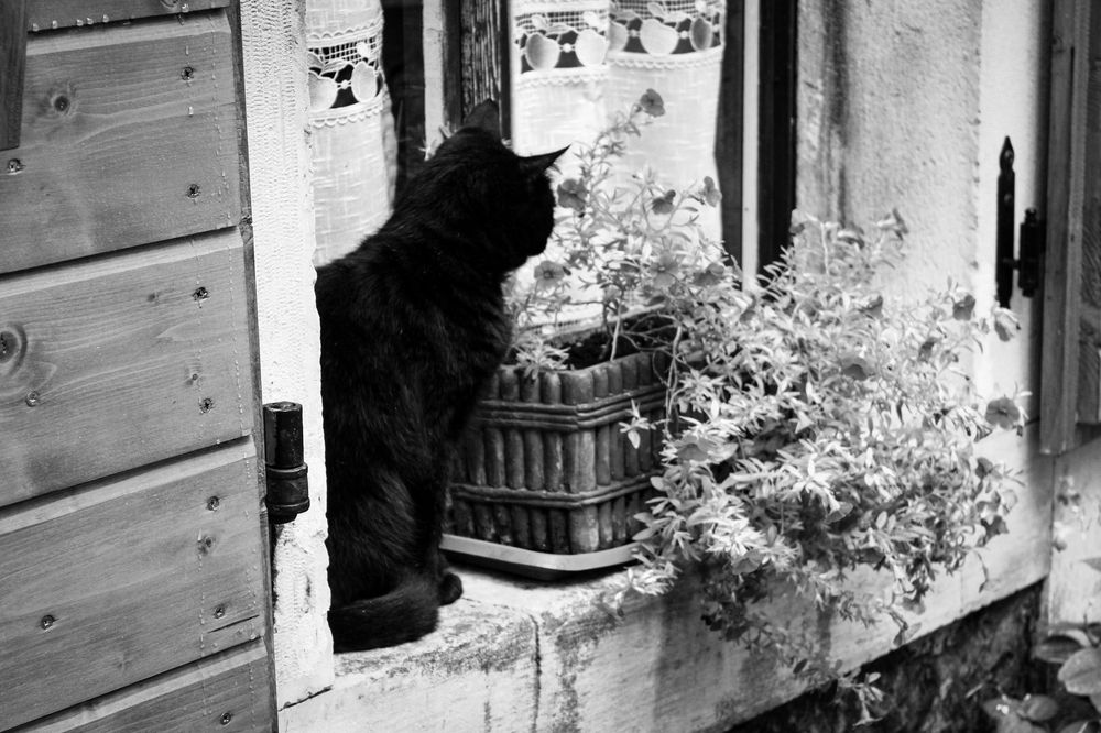 Photograph by Андрей Безгин