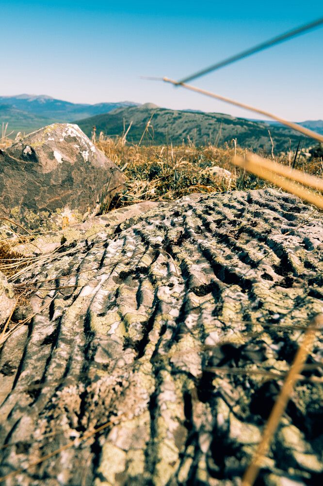 Photograph by Иван Кривоносов