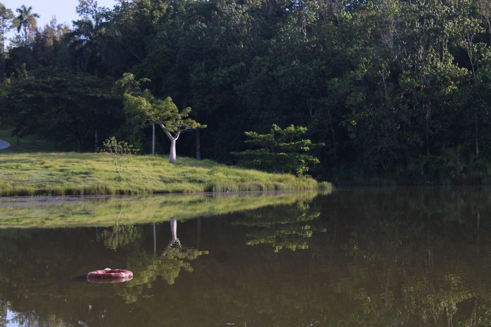 Photograph by Carlos Alberto Cuevas Pino