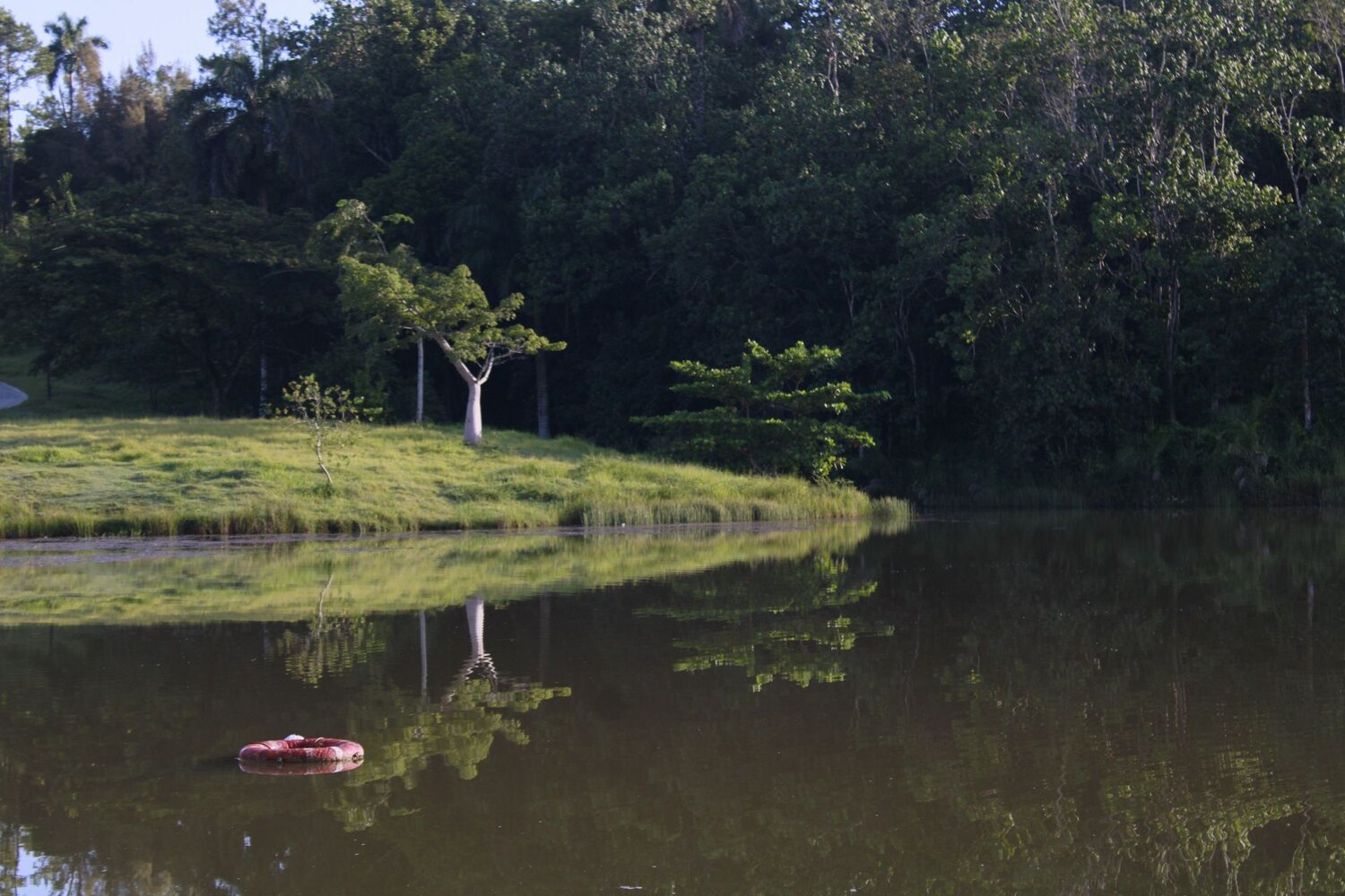 Photo #12208644