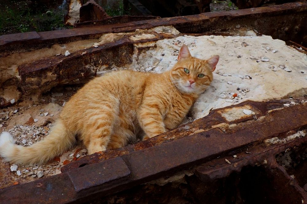 Photograph by DMITRIY DULIN