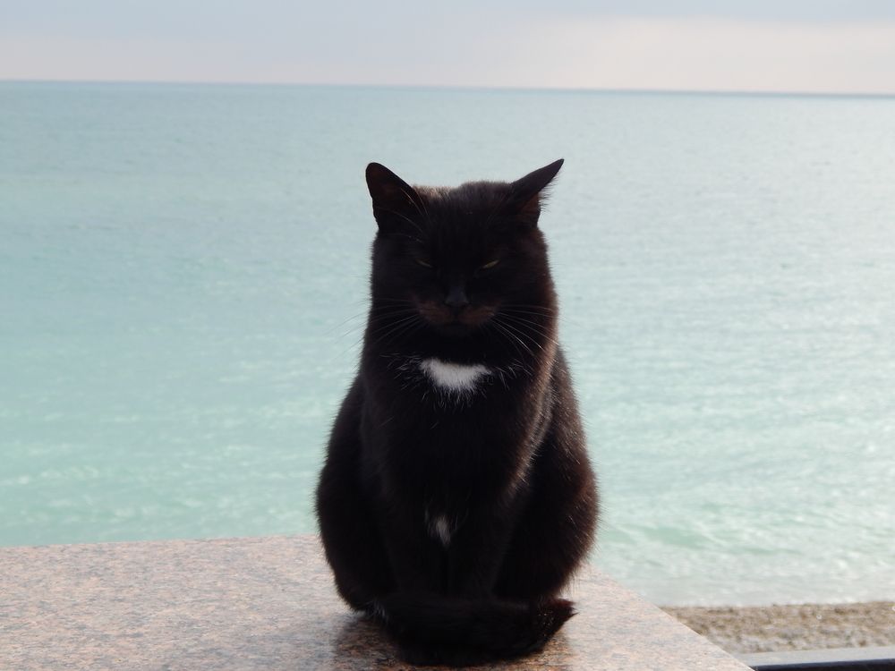 Коктебельский дзен