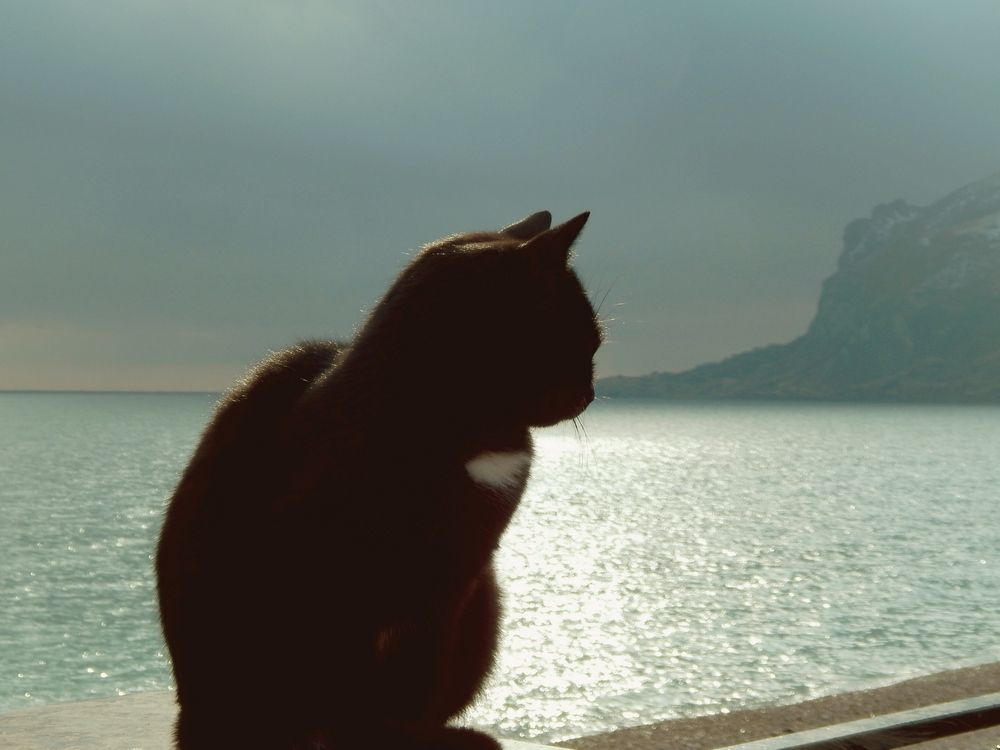 Photograph by Tanivsv