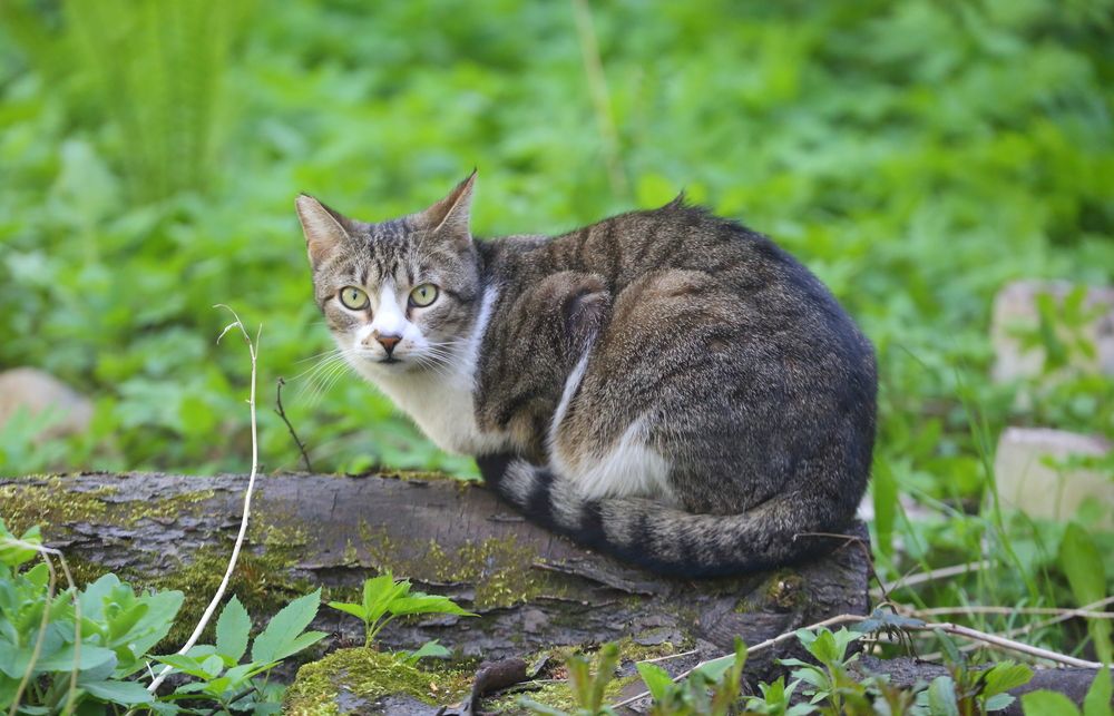 Photograph by Станислав Вершинин