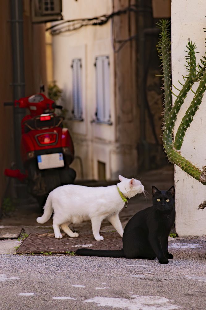 Фотография автора Katherine Mils