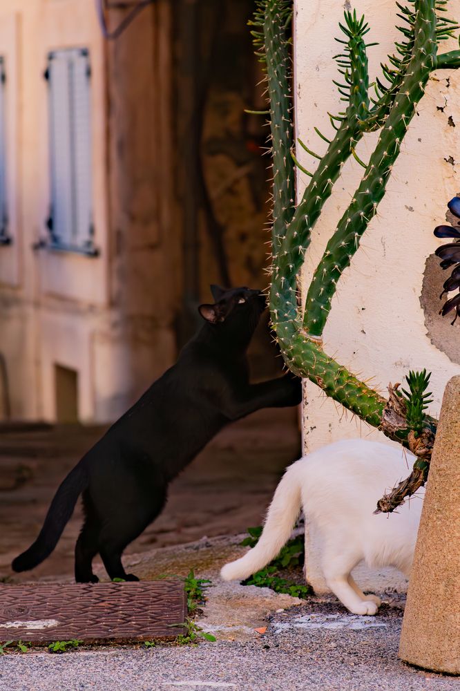 Фотография автора Katherine Mils