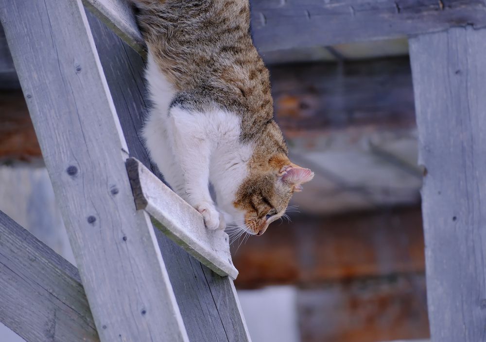 Photograph by Надежда Кангина