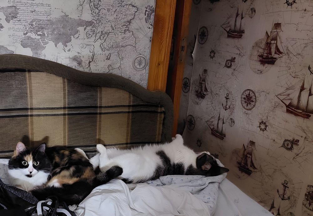 Сестрёнка, я уже лёг спать