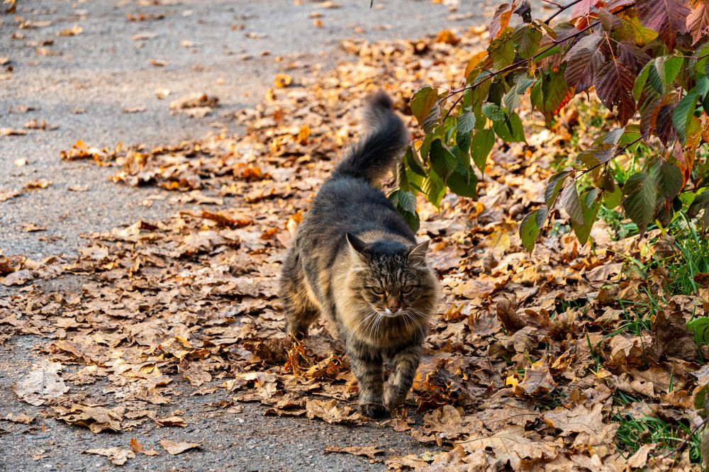 Photograph by Андрей Соколов