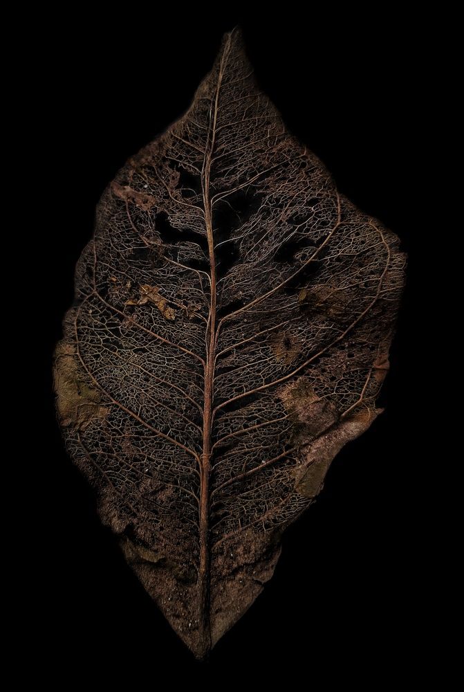 Photograph by Roberto Hagemann