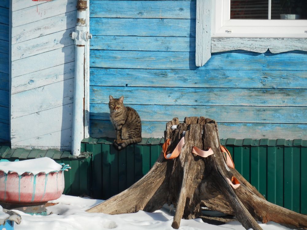 Ну, что смотришь?